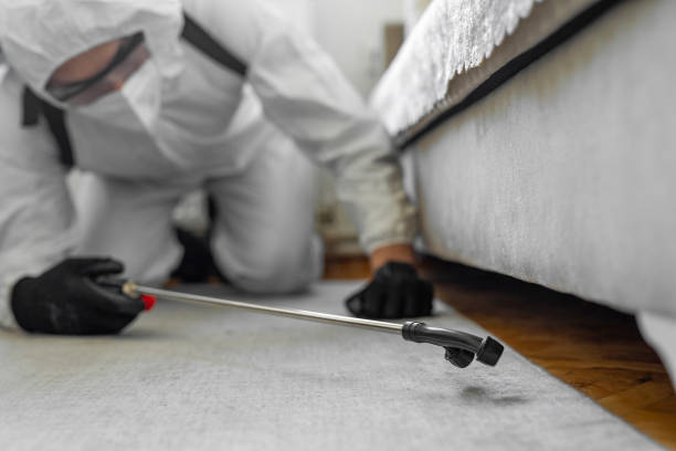 Professional Termite Control technician working in Hamburg, AR