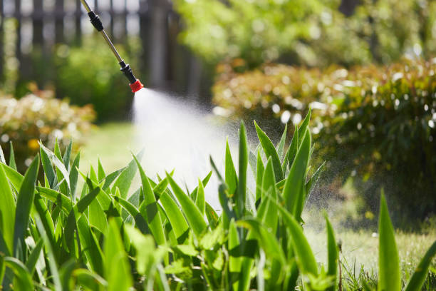 24/7 Emergency Termite Control experts in Hamburg, AR