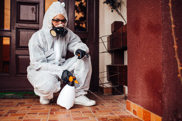 Reliable Termite Control contractor in Hamburg, AR by Nex Pest Control