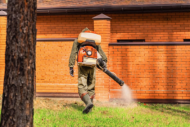 Top rated local Termite Control specialists in Hamburg, AR
